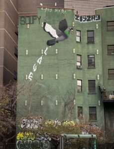 Love Not War Deborah Shackleton