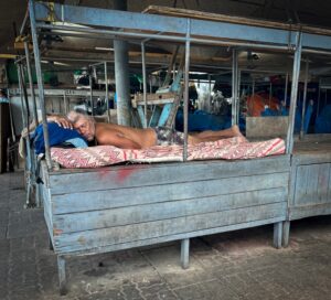 Resting After A Hard Day In The Market Deborah Shackleton