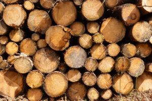 pine stack