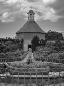 Dovecote Deborah Shackleton