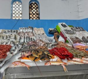 Fishy Business In Casablanca June Poston