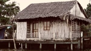 House On The Bank Of The Mekong Delta, Vietnam Sue Williamson