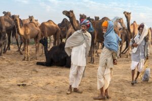 Pushkar Exchange Sarah Mawdsley