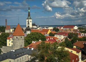 The Red Roofs Of Tallinn Deborah Shackleton