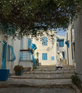 Tunisian Village Street Deborah Shackleton