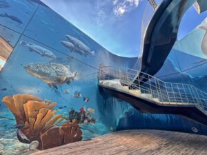 Under The Sea In Cartagena June Poston