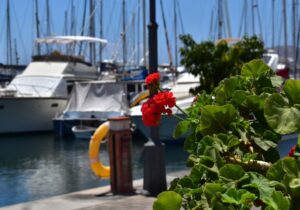 Waiting For The Boat! Karen Redfern