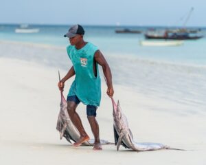 Zanzibar Catch Sarah Mawdsley